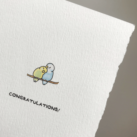 Congratulations! Budgies