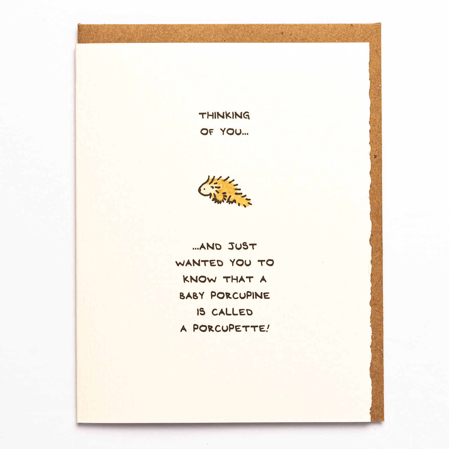 Thinking Of You... Porcupine