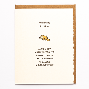 Thinking Of You... Porcupine