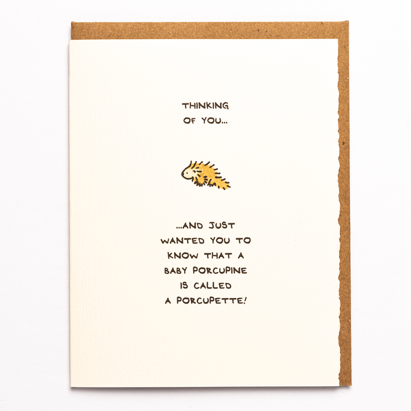 Thinking Of You... Porcupine