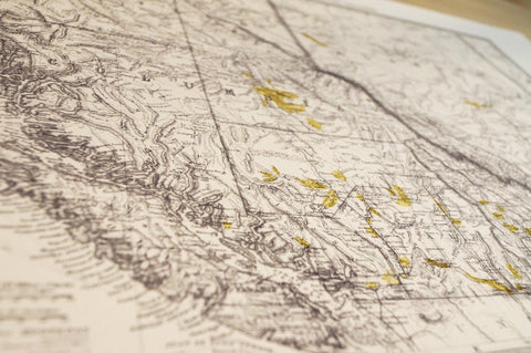 Antique Map Print of the British Columbia Gold Fields